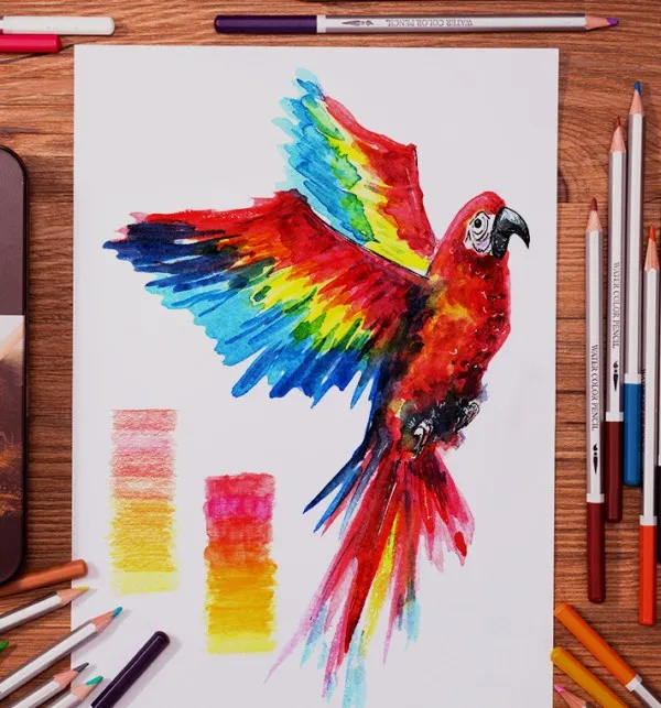 Watercolor Pencils 101 Techniques, Advantages, and Best Choices